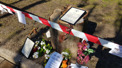 Altar y esquela situados junto a un árbol talado en la plazuela de San Miguel de Gijón