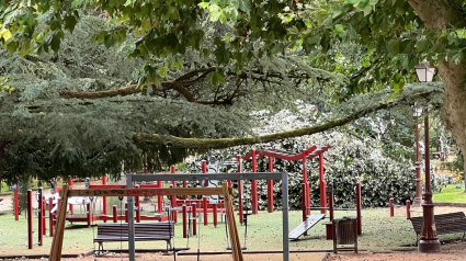 Las fuertes rachas de viento de 'Aitor' derribaron un árbol de grandes dimensiones en el Parque de Rosalía