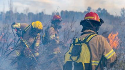 Foto de archivo de un grupo de bomberos en un incendio forestal