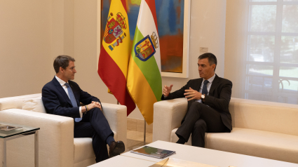 Pedro Sánchez y Gonzalo Capellán