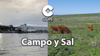 CAMPO Y SAL VIERNES 27 SEPT 2024