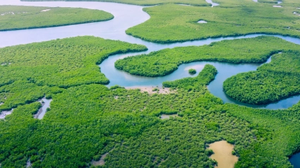 Río Amazonas