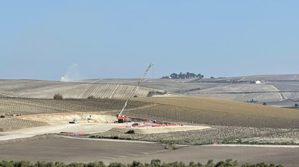 Aerogeneradores en terrenos de viñedos en el Marco de Jerez