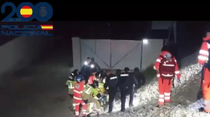 Rescate en las vías del tren de Ávila