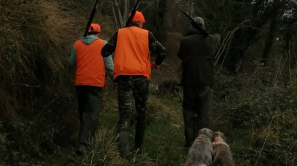 Cazadores con perros en un monte de Lugo