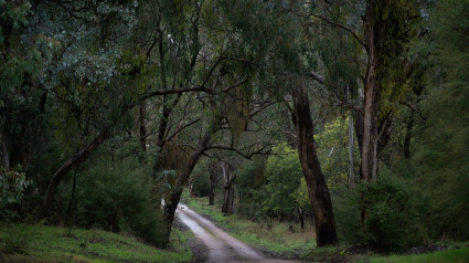 Carretera Rural