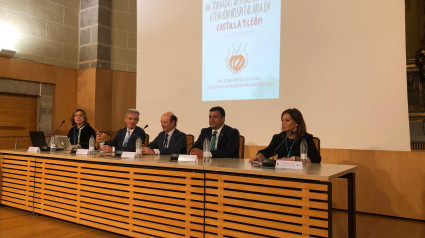 Foto: VIII Congreso de los Fisioterapeutas Hospitalarios