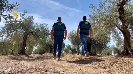 Guardia Civil en la finca del robo.