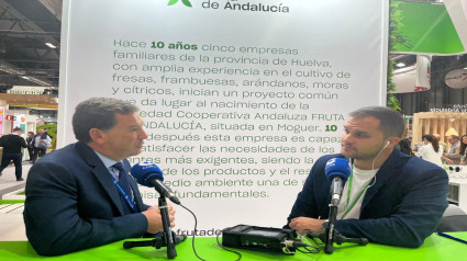 Entrevista a Alberto Santana, presidente del Puerto de Huelva