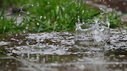 Alerta Naranja en  la Sierra de Grazalema, Campiña de Jerez y Litoral gaditano