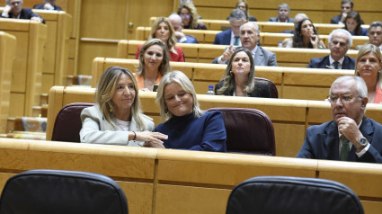 En primera fila, las senadoras del PP, Alicia García  y Marimar Blanco  durante un Pleno extraordinario en el Senado