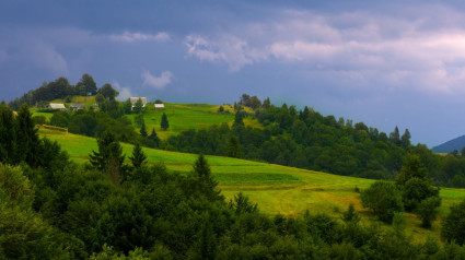 Mundo rural