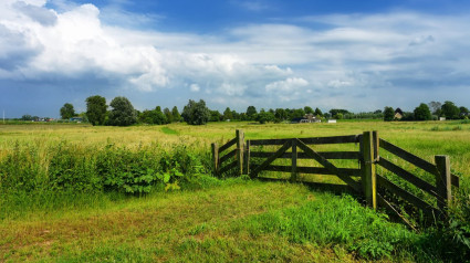 Mundo rural