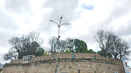 El Jardín de San Carlos, en julio de este año