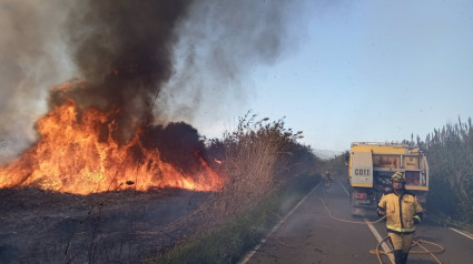 Medios aéreos y terrestres combaten un nuevo incendio cerca de la Albufera y desalojan tres viviendas
CONSELLERIA AGRICULTURA