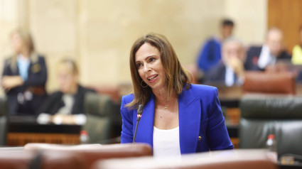 La consejera de Fomento, Articulación del Territorio y Vivienda, Rocío Díaz, durante la segunda jornada del Pleno del Parlamento andaluz