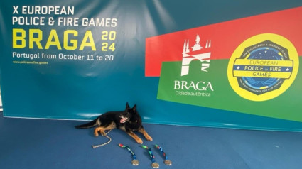 El perro de Casaga con sus medallas en Braga