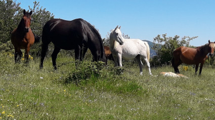 Despoblamiento y mundo rural