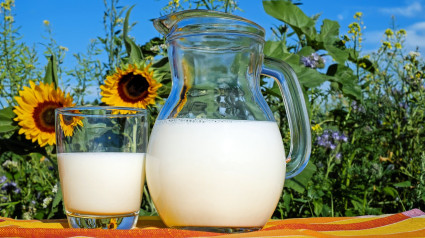 La leche entera y las bebidas vegetales: cómo preparar tu propia bebida de almendra, según la nutricionista Sandra Moñino