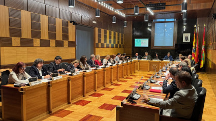 Sesión plenaria en el Ayuntamiento de Huesca