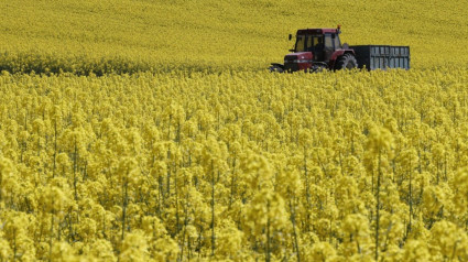 Imagen de un tractor en una zona rural de Navarra