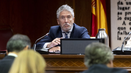 El ministro del Interior, Fernando Grande-Marlaska, comparece en la Comisión de Investigación sobre el ‘caso Koldo’, en el Senado