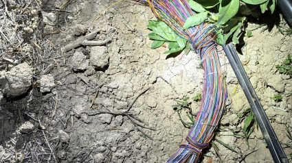 Parte del botín de cable robado en Lorca