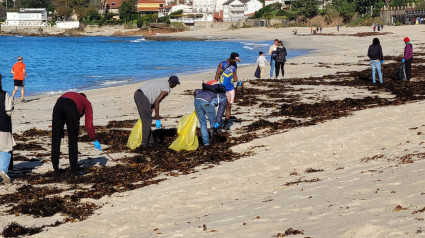 Recogida basura playa de Areas