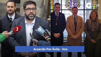 Acuerdo Por Ávila-Vox