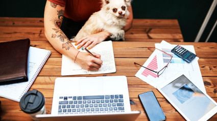 Toma en ángulo alto de una empresaria sentada con su perro mascota y escribiendo en su cuaderno.