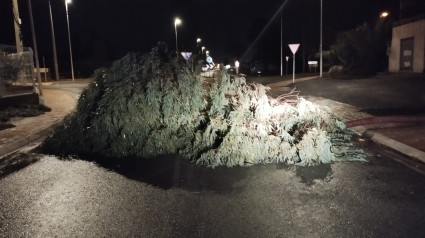 Árbol abatido pro el viento en la antigua carretera de Águilas