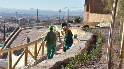 Operarios de los Consejos Comarcales de Empleo durante la construcción de un nuevo parque