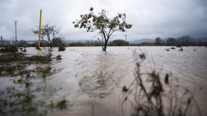 Crecida del río Magre, a 29 de octubre de 2024, en Alfarp, Valencia, Comunidad Valenciana