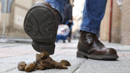 Heces sin recoger en una calle de Euskadi