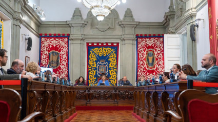 Pleno municipal