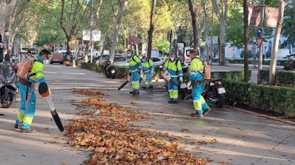 Operarios limpiando hojas de las calles de Madrid