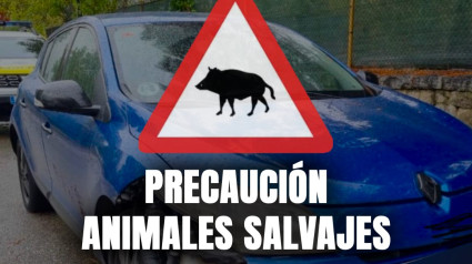 Collado Mediano pide precaución en carretera por la presencia de fauna silvestre