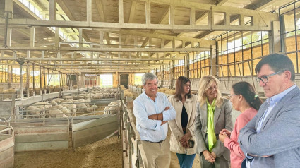 (Foto de ARCHIVO)
La subdelegada del Gobierno en Huelva, María José Rico, durante su visita a Ovipor.

SUBDELEGACIÓN DEL GOBIERNO
19/4/2024