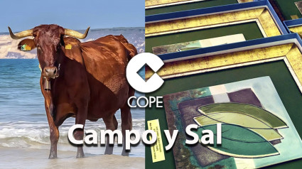 ´Campo y Sal´| viernes 08 noviembre 2024