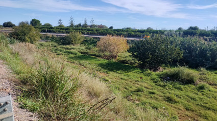 Río Seco en Castellón de la Plana