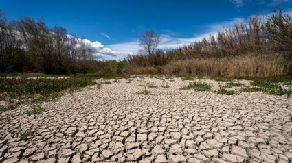 Cambio climático