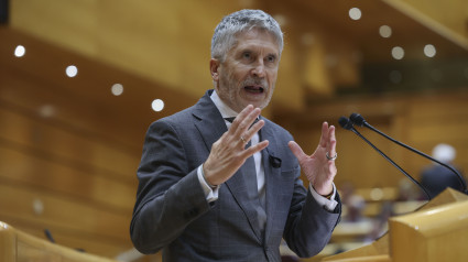 El ministro de Interior, Fernando Grande-Marlaska, interviene en la sesión de control en el Senado celebrada este martes en Madrid