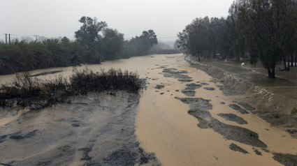 Imagen del río Guadalhorce a su paso por la Estación de Cártama