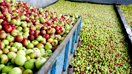 Manzanas en Custom Drinks