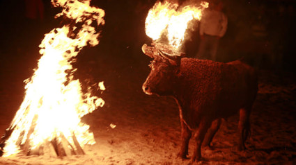 Celebración del Toro Jubilo en Medinaceli