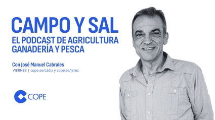 Campo y Sal | viernes 15 de noviembre de 2024