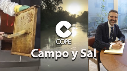 Campo y Sal | viernes 15 de noviembre 2024