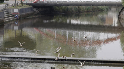 Río Piles, en Gijón