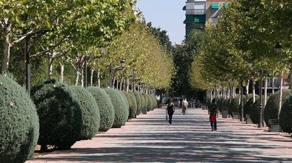 Una casa ocupada, foco de varias reyertas en el Parque Gasset: "Las propietarias van a denunciar"
AYTO CIUDAD REAL