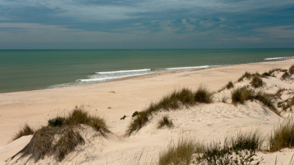 Dunas y playa natural, Parque Nacional de Doñana, Almonte, provincia de Huelva, Comunidad Autónoma de Andalucía, España